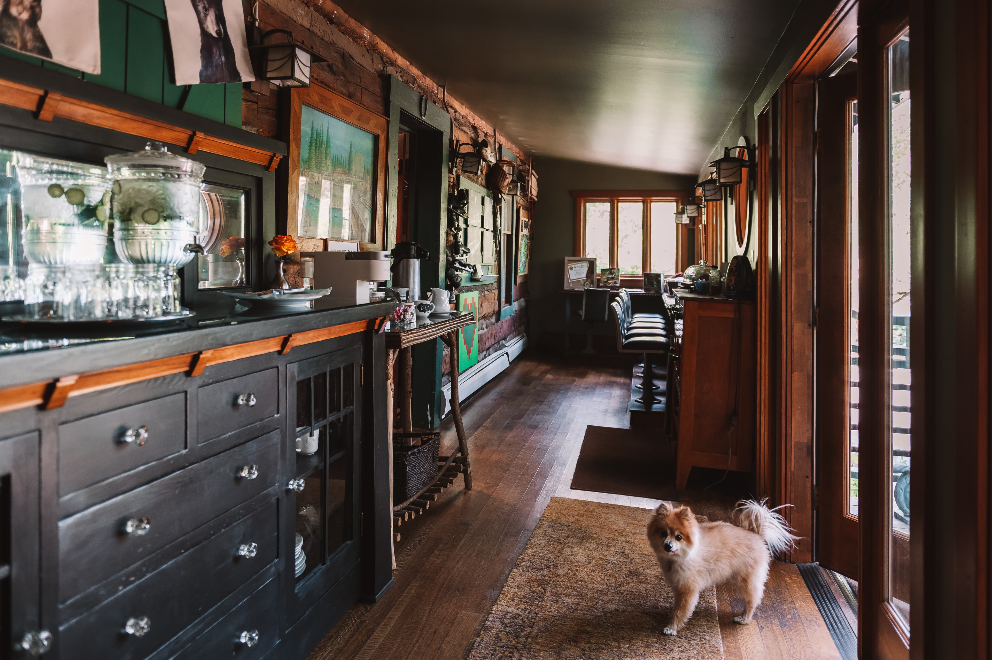 A small dog stands on a rug in a warmly lit hallway lined with wooden furniture and decor.
