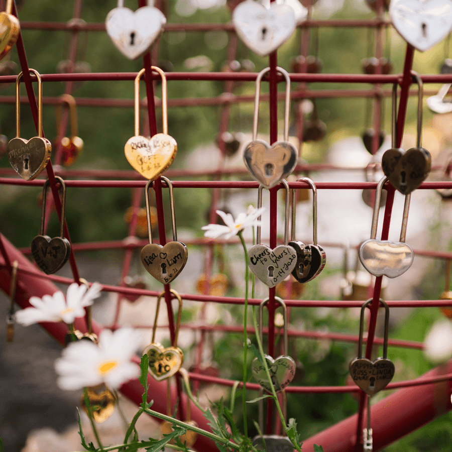 A close-up of heart-shaped locks hanging on a metal structure, adorned with names and messages, with daisies in the foreground.